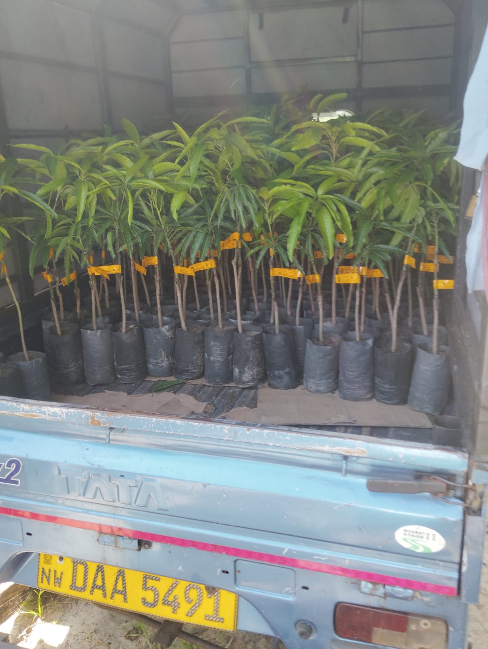 WhatsApp Image 2025-12-29 at 12.15.55 AM