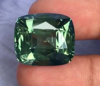 WhatsApp Image 2024-05-05 at 18.05.30_ac27069e